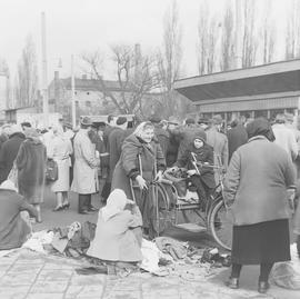 wrocławianie na targu