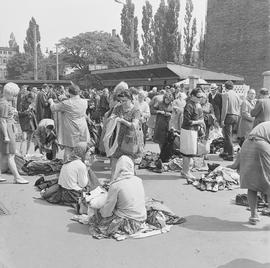 wrocławianie na targu