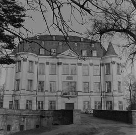 Zamek w Leśnicy