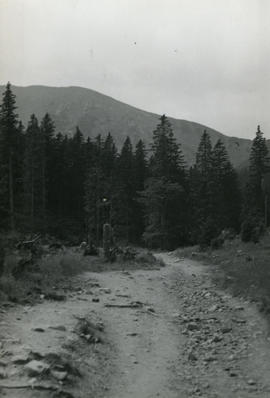 Tatry