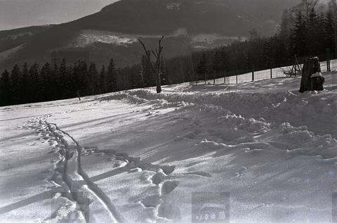 Original Obiekt cyfrowy not accessible