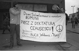 Dzień Solidarności z narodami Rumunii
