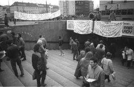 Protest Ruchu Wolność i Pokój