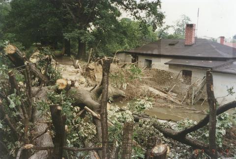Original Obiekt cyfrowy not accessible