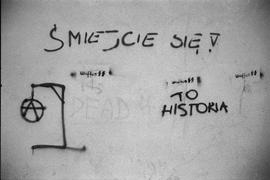 Graffiti neonazistowskie